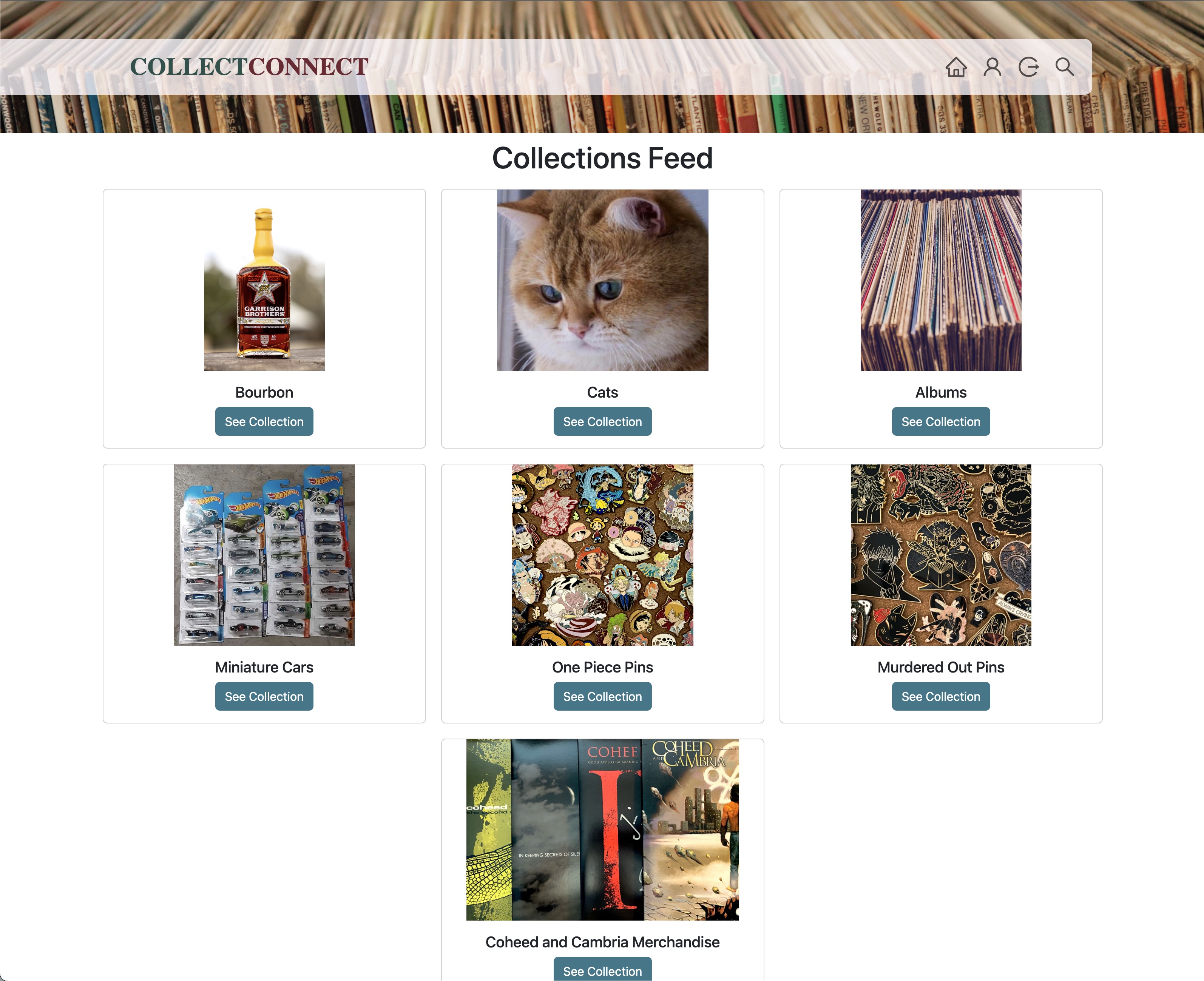 homepage of site when logged in displaying feed of collections